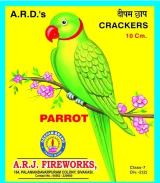 10 cm Parrot
