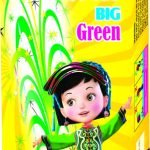 Flower Pots Big Green